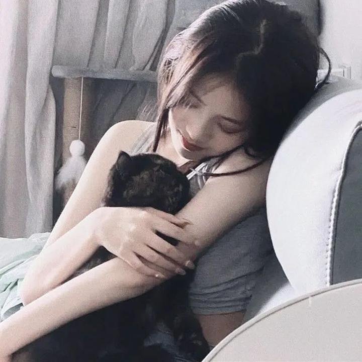 爱情算不算封面